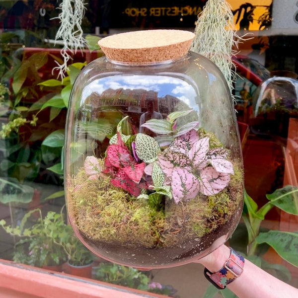 Lighted Pink Love Garden newest Terrarium