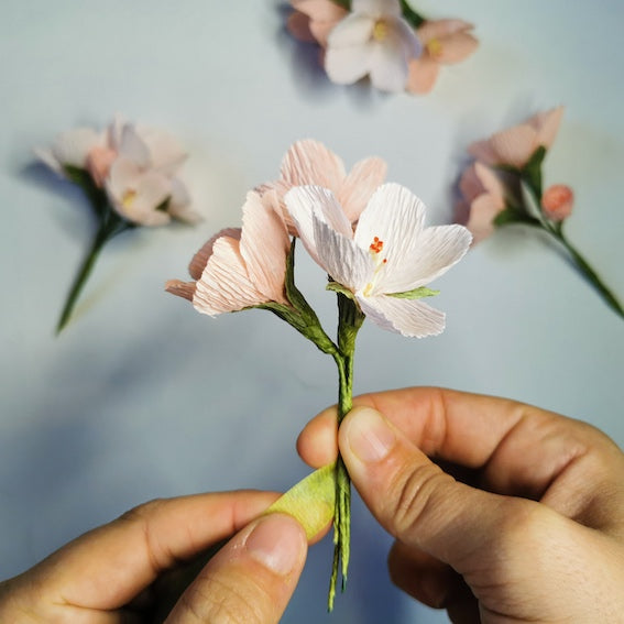 Starter Craft Kit: Learn how to make crepe paper flowers
