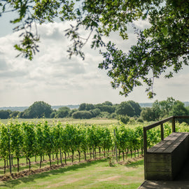 Kent's Beautiful Gusbourne Vineyard - Sparkling Wine Tasting Experience