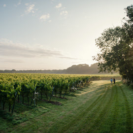 Kent's Beautiful Gusbourne Vineyard - Sparkling Wine Tasting Experience