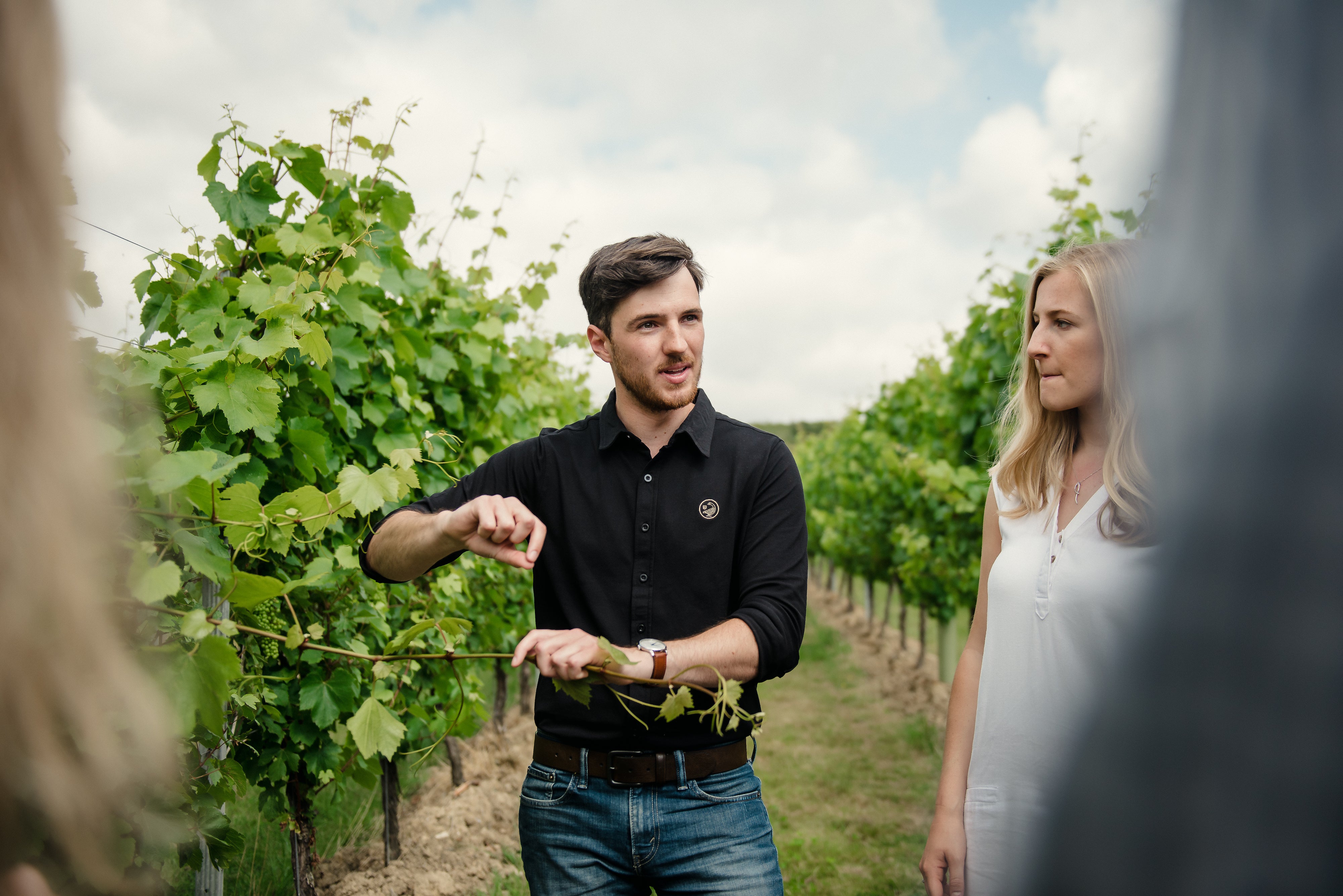 Tour, Tasting and Lunch at Kent's Beautiful Gusbourne Vineyard