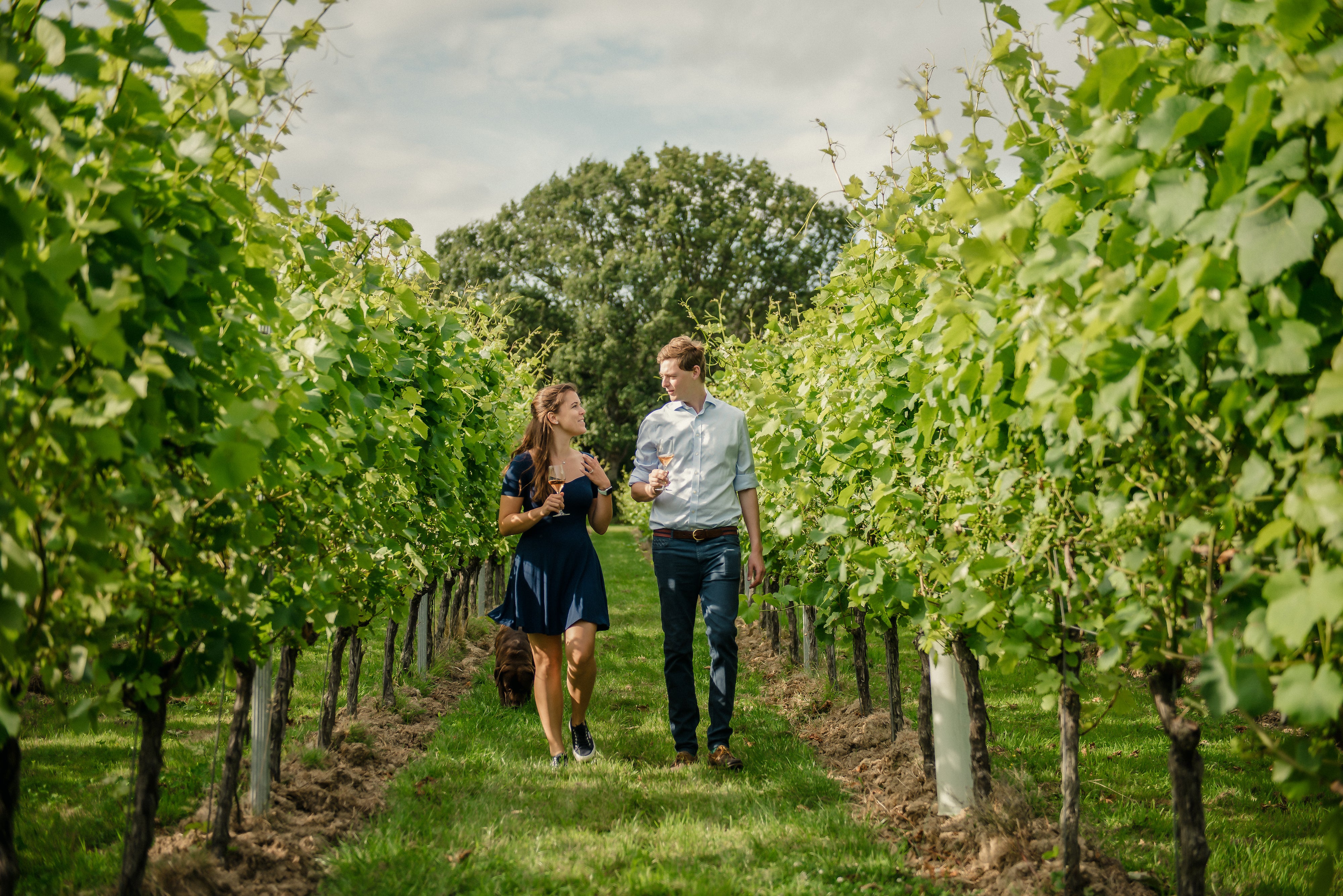 Tour, Tasting and Lunch at Kent's Beautiful Gusbourne Vineyard