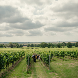 Tour, Tasting and Lunch at Kent's Beautiful Gusbourne Vineyard