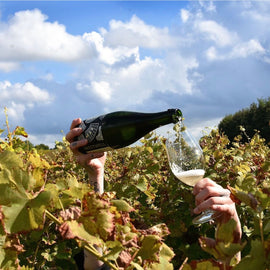 The Great British Vineyard Expedition, Kent