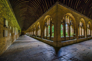 You added <b><u>Live, Breathe Harry Potter, A Muggle's Walk: Oxford</u></b> to your cart.