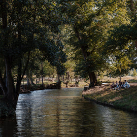 Take a Punt Through Oxford