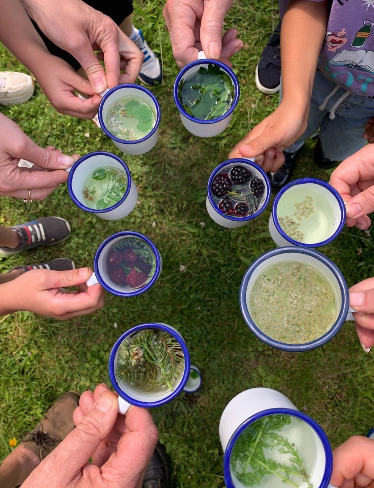 Forage Box, Multiple Locations