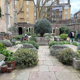 Secret Garden Tour in a Classic Mini Cooper