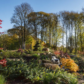 RHS Garden Bridgewater Day: A Garden Lover's Paradise. Manchester.