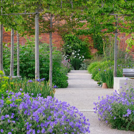 RHS Garden Bridgewater Day: A Garden Lover's Paradise. Manchester.