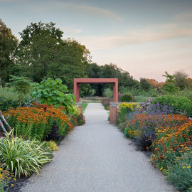 RHS Garden Bridgewater Day: A Garden Lover's Paradise. Manchester.