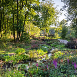 RHS Garden Bridgewater Day: A Garden Lover's Paradise. Manchester.