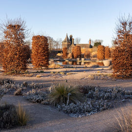 RHS Garden Bridgewater Day: A Garden Lover's Paradise. Manchester.