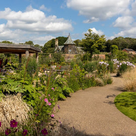 RHS Garden Bridgewater Day: A Garden Lover's Paradise. Manchester.