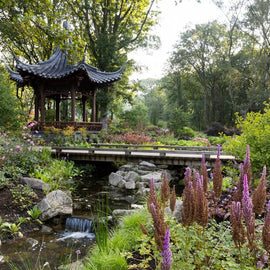 RHS Garden Bridgewater Day: A Garden Lover's Paradise. Manchester.