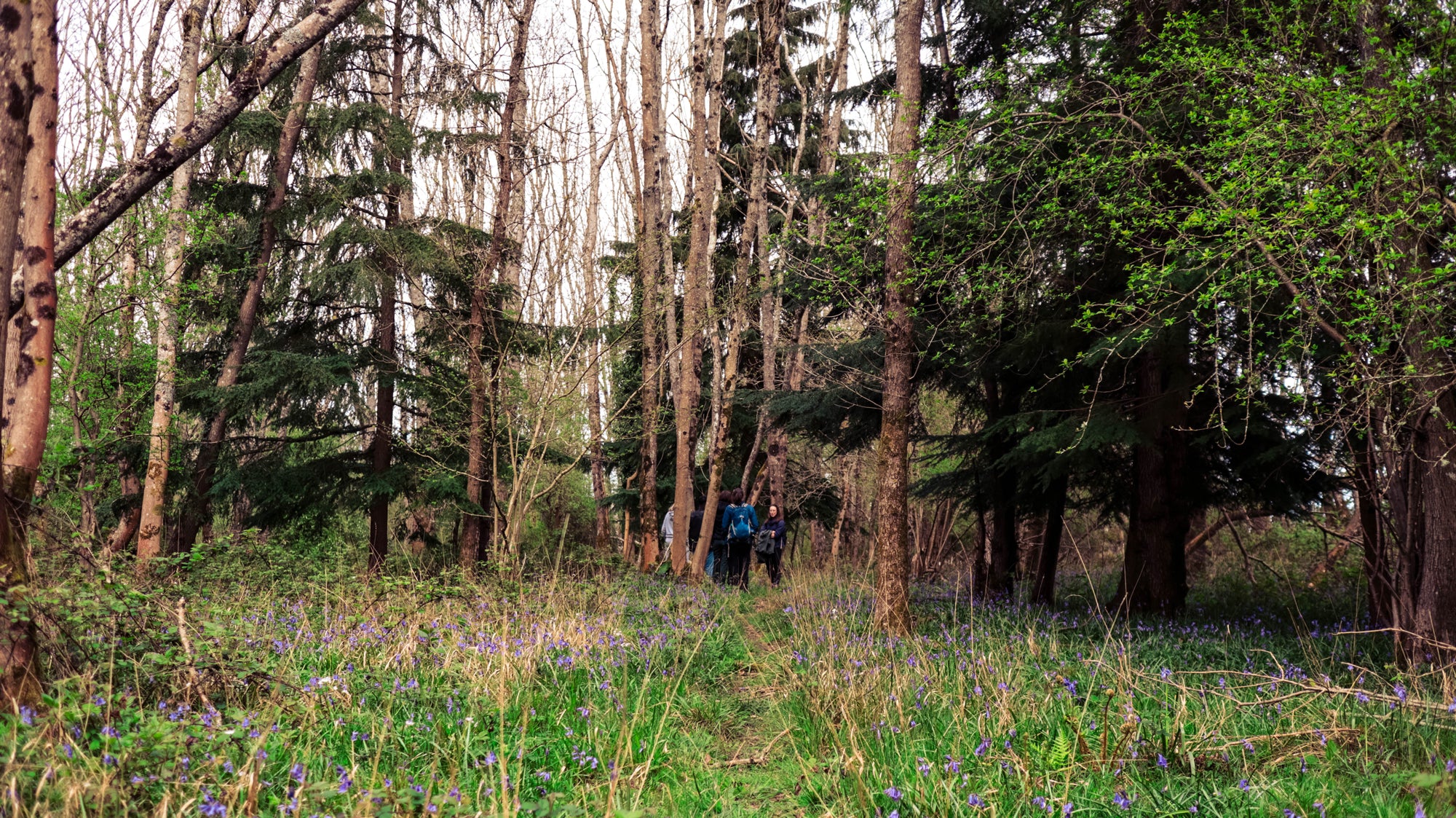 Yin Yoga and Soundbath Day (nr Brighton)