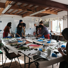 Botanical Print Making, Bristol