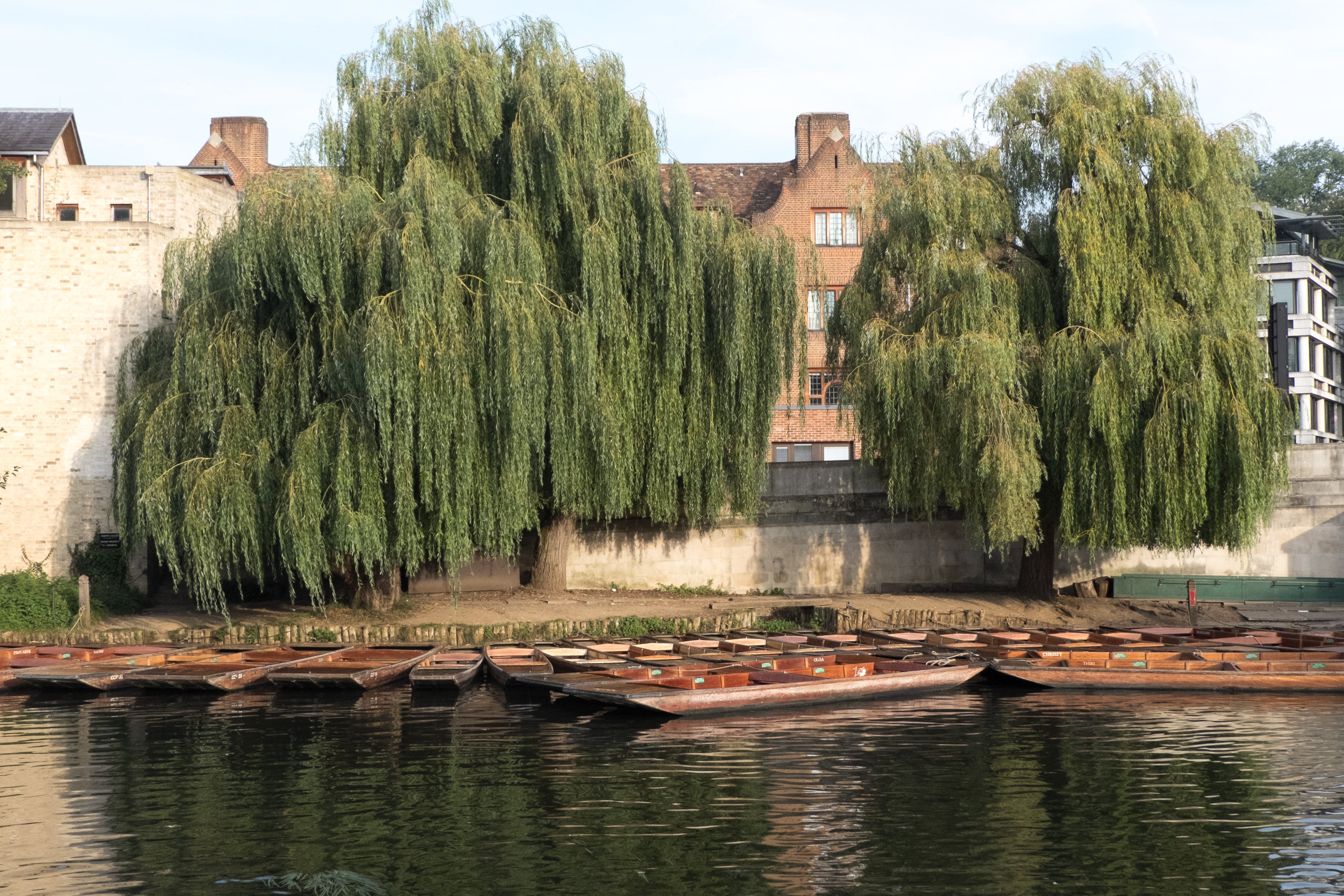 Historical Walking, Punting Tour: Cambridge