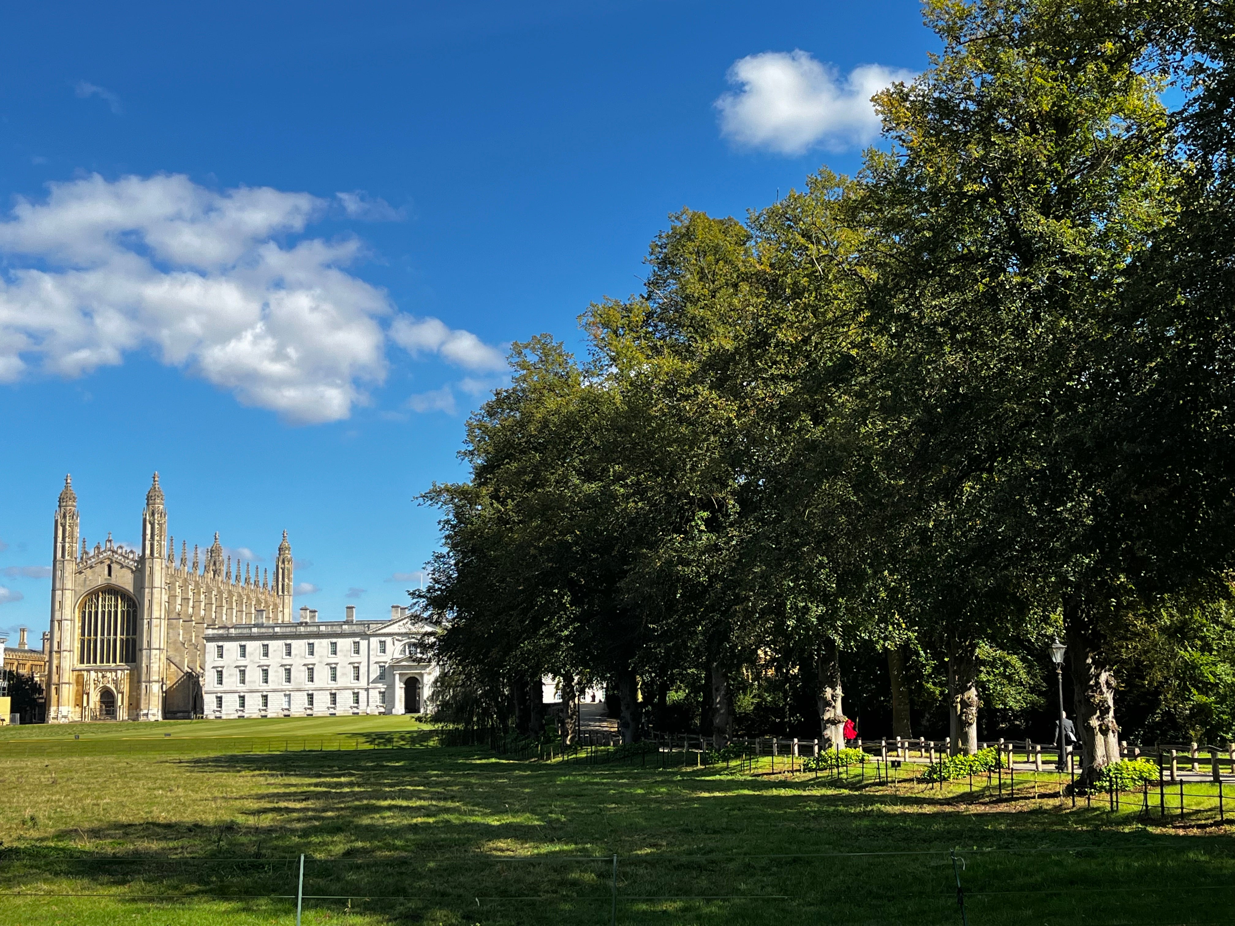 Historical Walking, Punting Tour: Cambridge