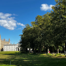 Historical Walking, Punting Tour: Cambridge