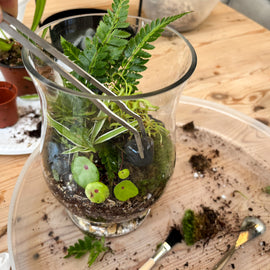 Carnivorous Plant Terrarium Workshop, Manchester