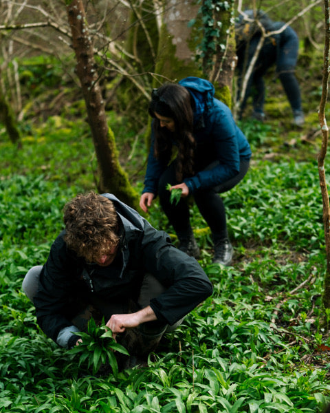 Forage Box, Multiple Locations