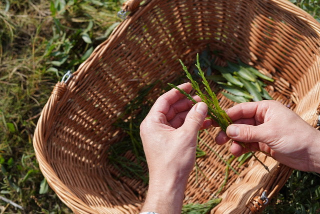 Forage Box, Multiple Locations