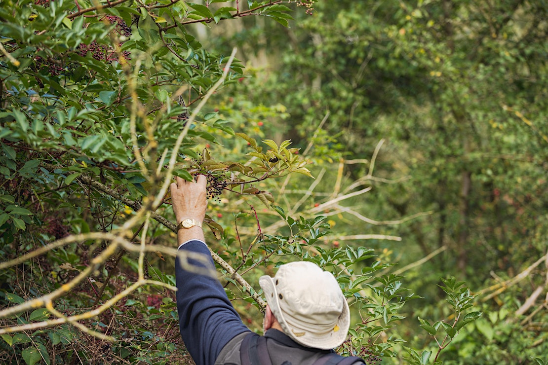 Forage Box, Multiple Locations