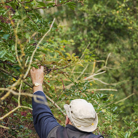 Forage Box: Multiple Locations