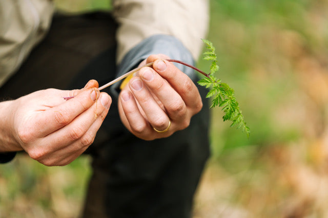 Forage Box, Multiple Locations