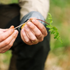 Forage Box: Multiple Locations