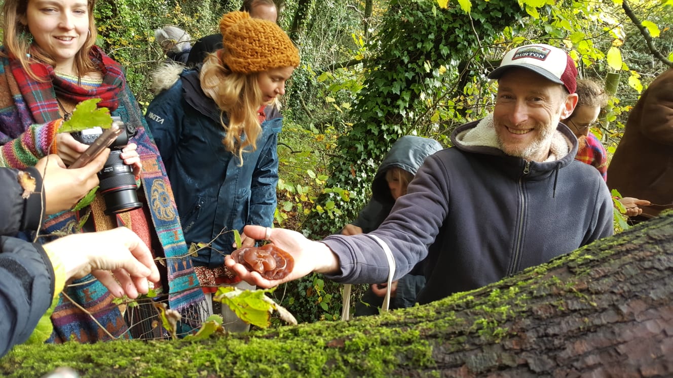 Wild Food, Wild Medicine Foraging Experience