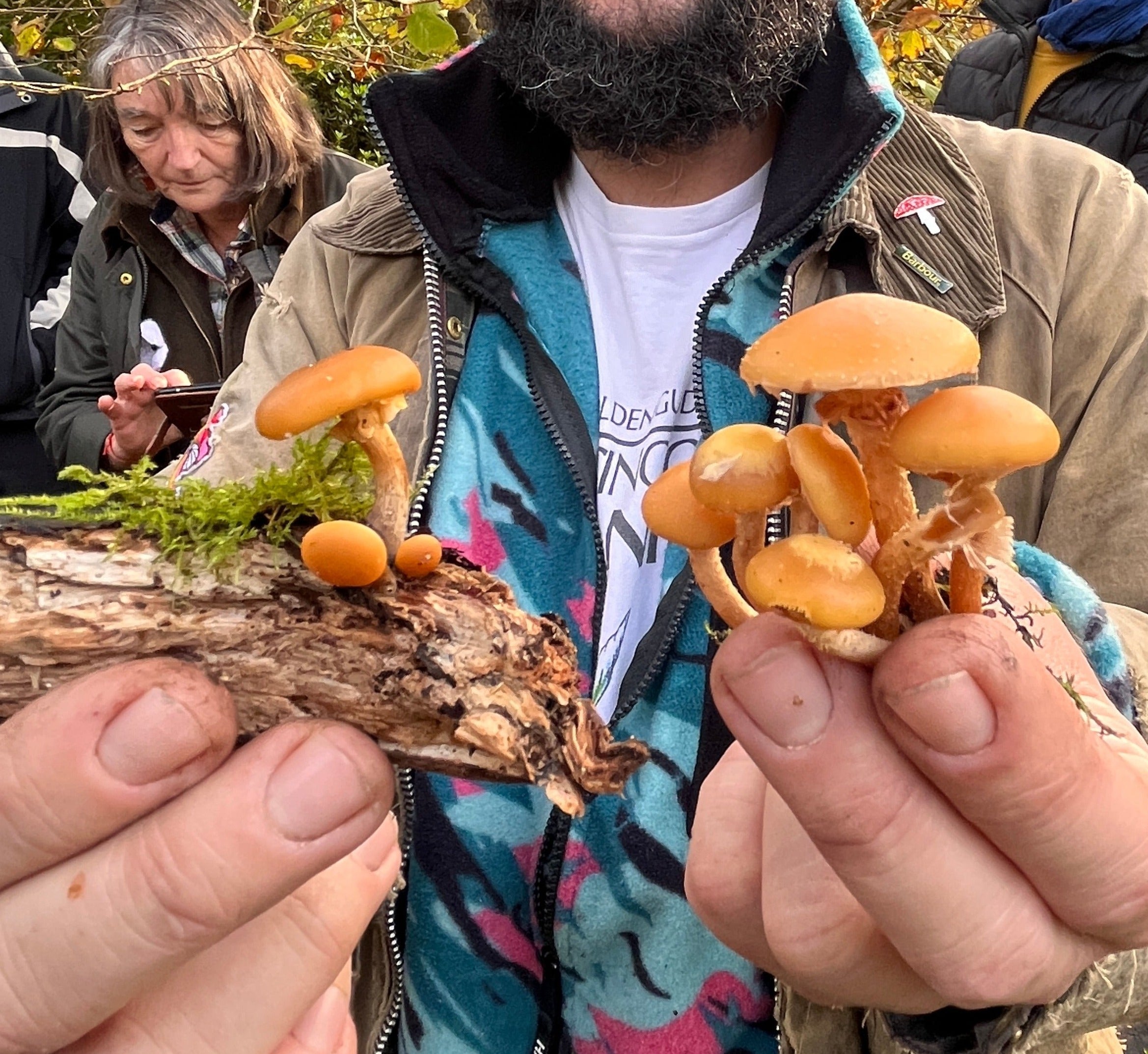 Wild Food, Wild Medicine Foraging Experience