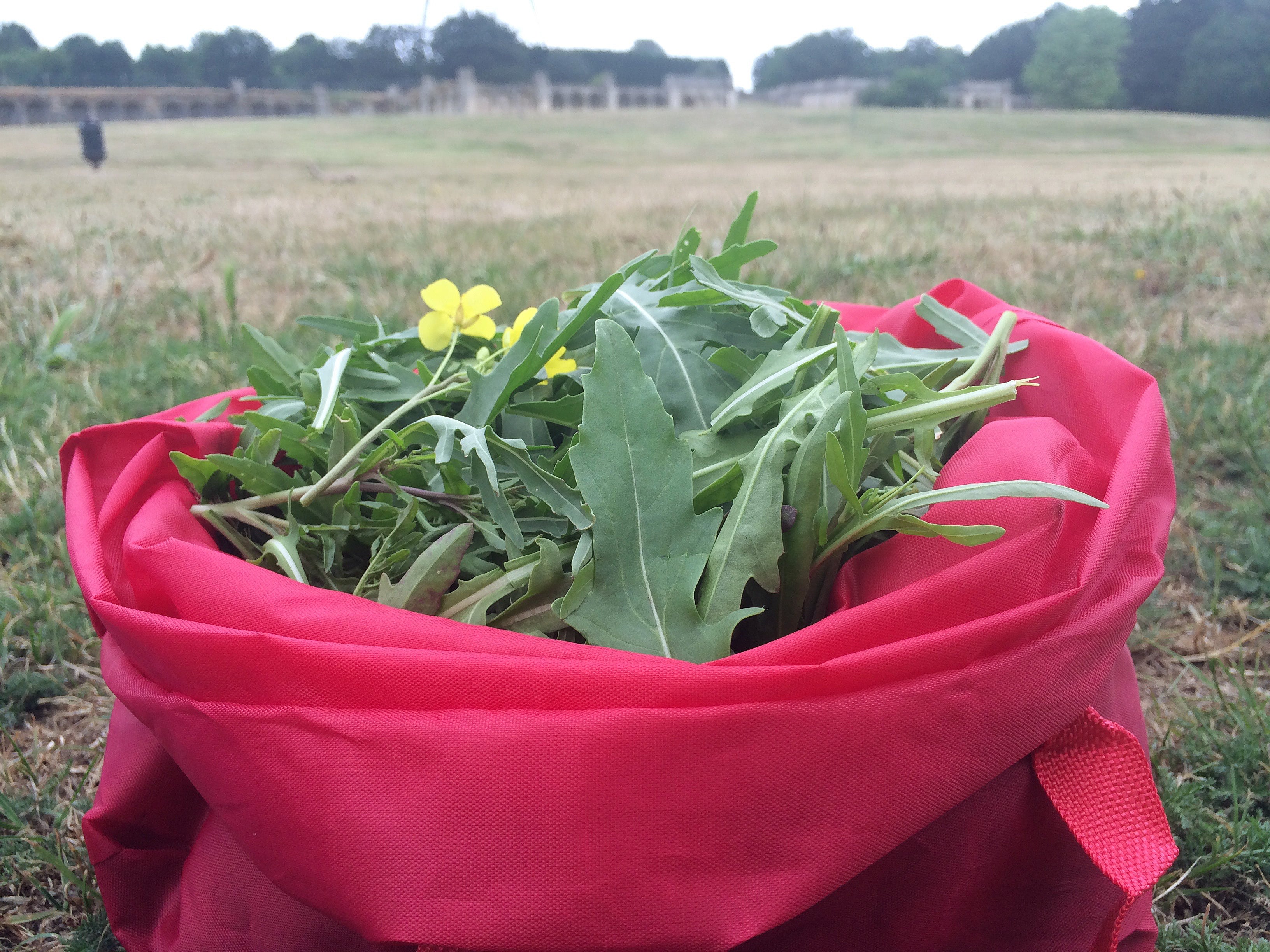 Forage London - The Edible City