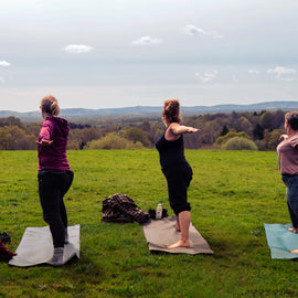 Yoga and Forest Bathing Day Retreat (nr Brighton)