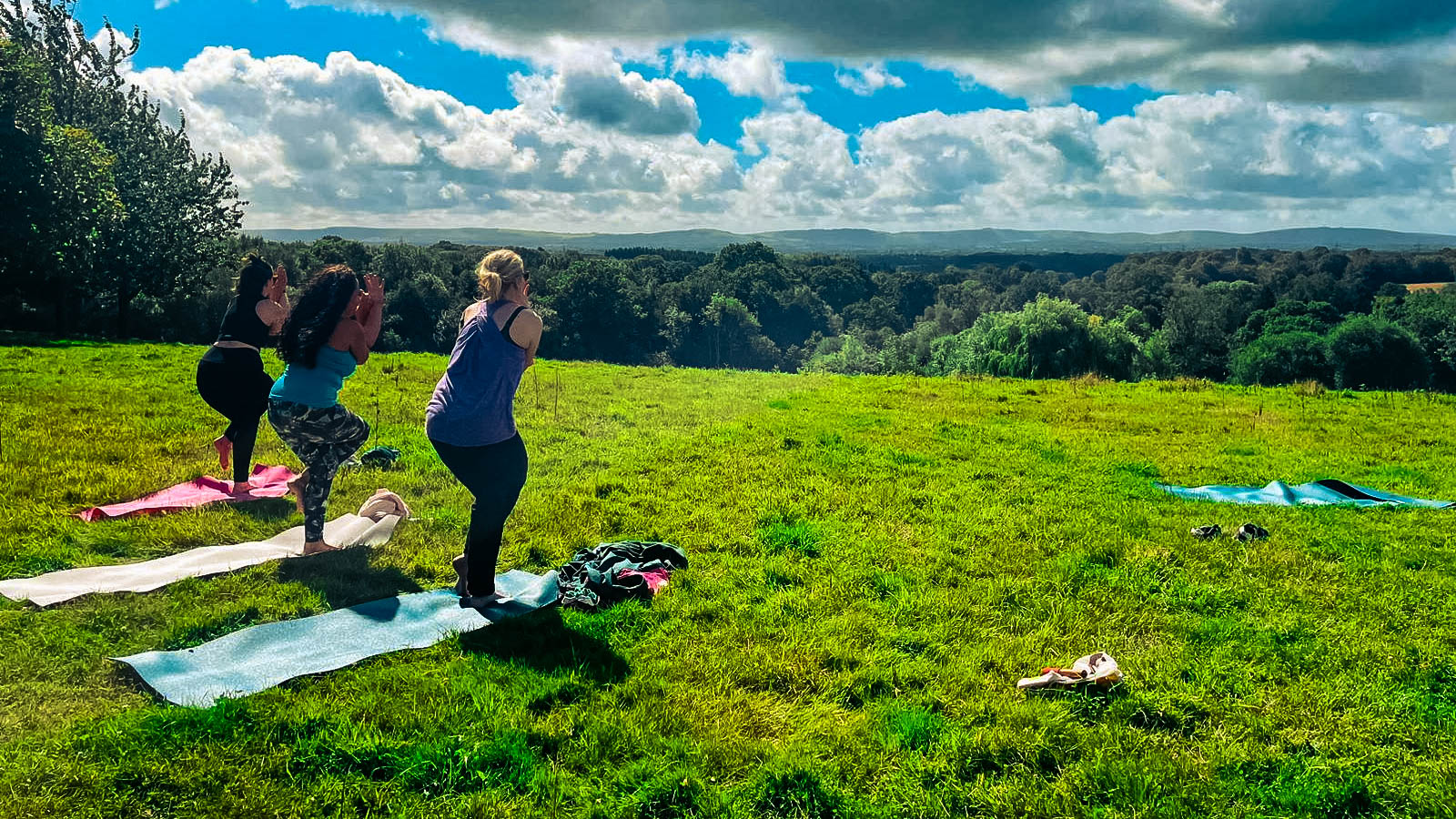 Yoga and Forest Bathing Day Retreat (nr Brighton)