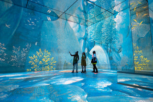 You added <b><u>Frameless: An Immersive Art Experience and 2-Course lunch</u></b> to your cart.