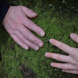 Forest Bathing in Liverpool: Your Journey into Nature