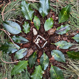 Forest Bathing in Liverpool: Your Journey into Nature