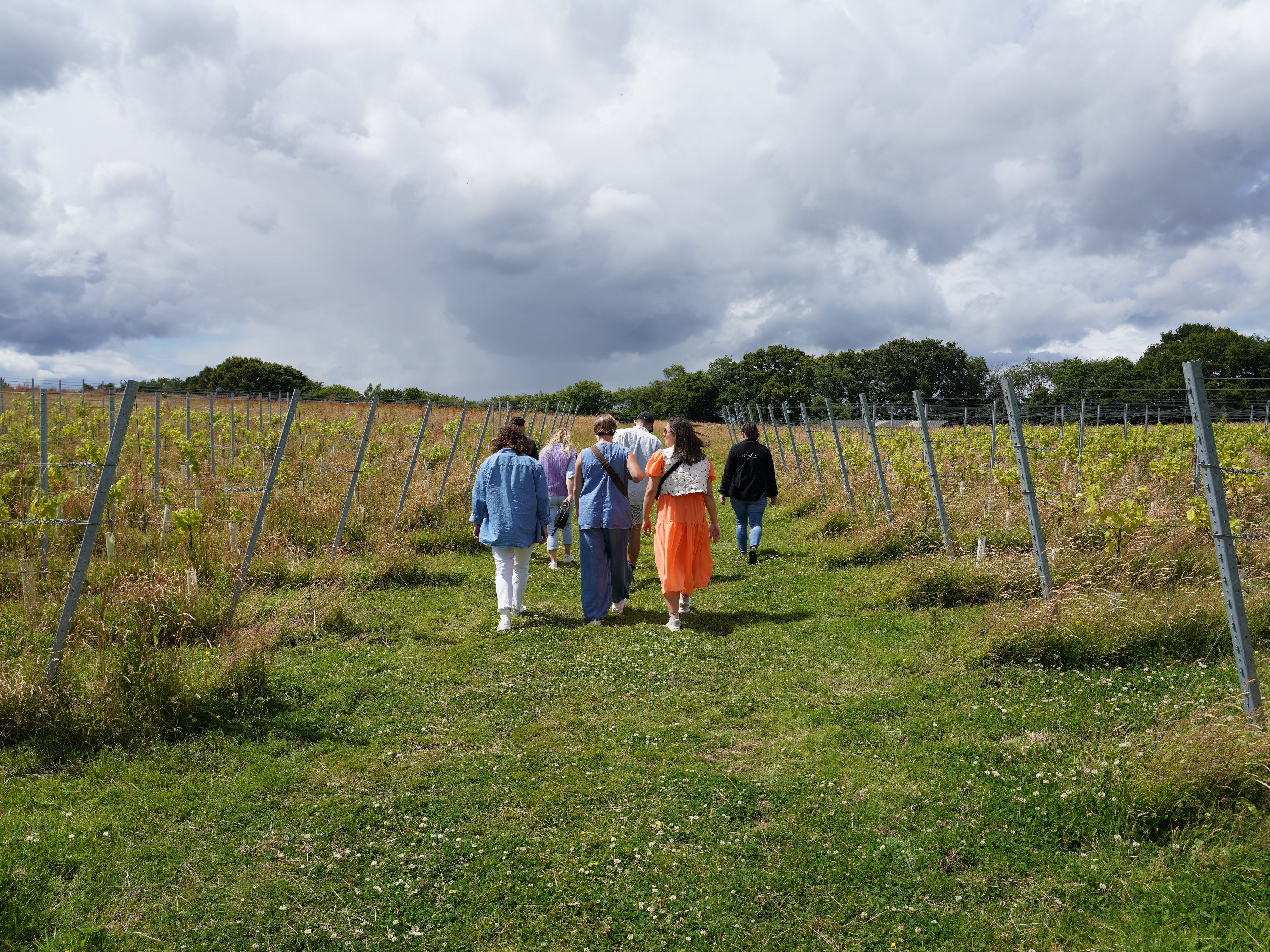 The Great British Vineyard Expedition, Kent