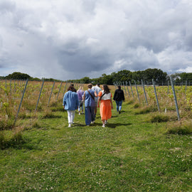 The Great British Vineyard Expedition, Kent