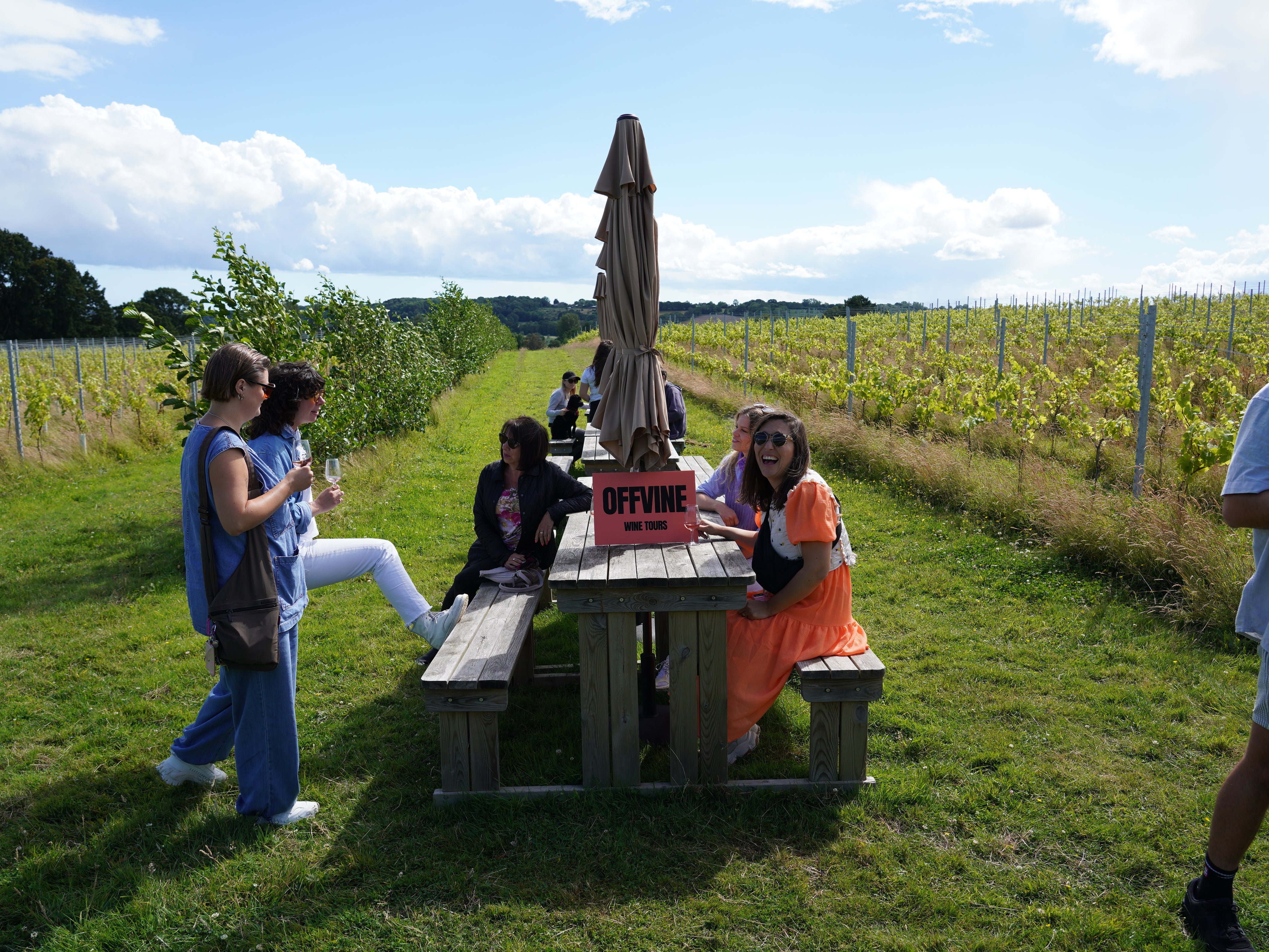 The Great British Vineyard Expedition, Kent