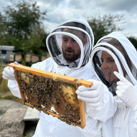 The Magic of Bees, Manchester