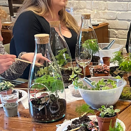 Terrarium Workshop, Manchester