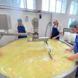 Cheese Making Masterclass in Bath