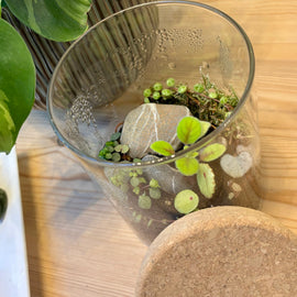 Houseplant Propagation and Terrarium Workshop, Manchester