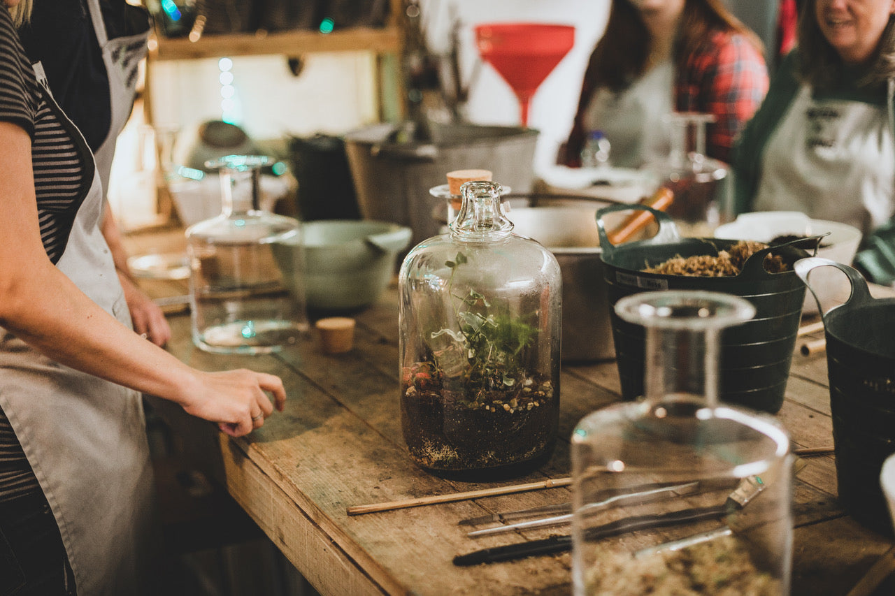 Terrarium Workshop (Brighton)