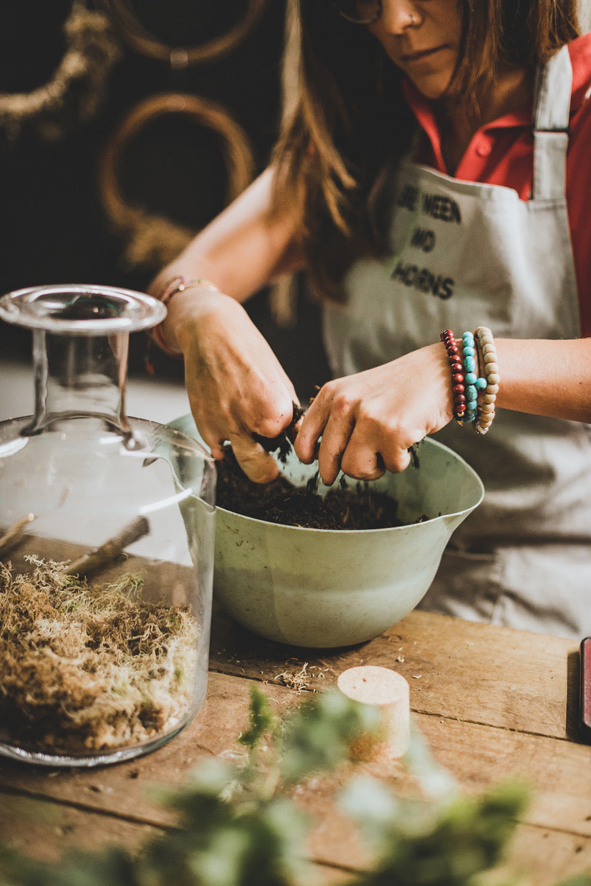 Terrarium Workshop (Brighton)