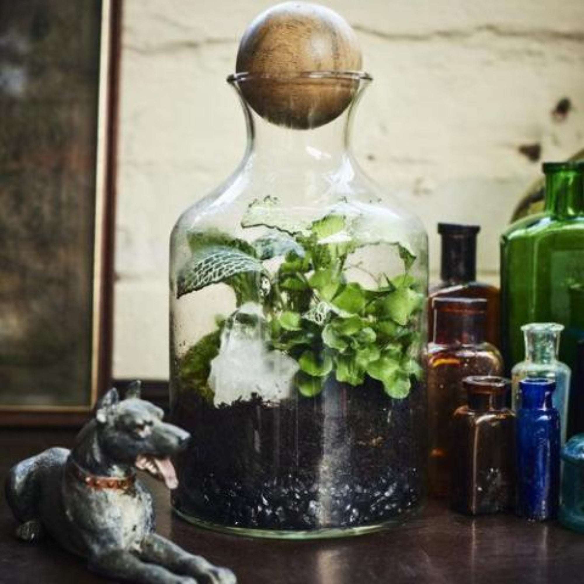 terrarium design experience gift the Indytute