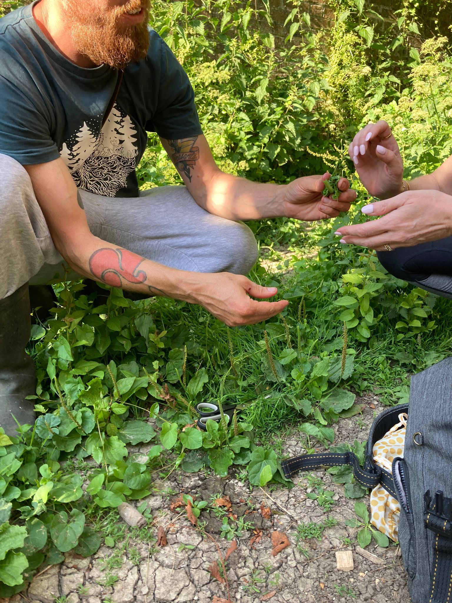 Introduction to Foraging (Brighton)